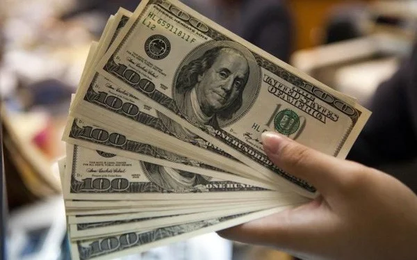 Hoa hồng dành cho các đối tác với giá trị hấp dẫn.